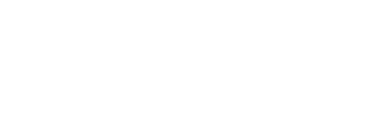 falconsdesertsafari