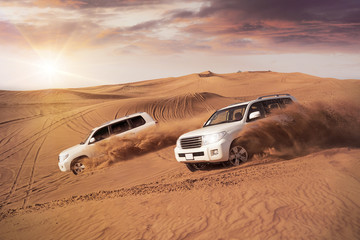 Morning Desert Safari Dubai