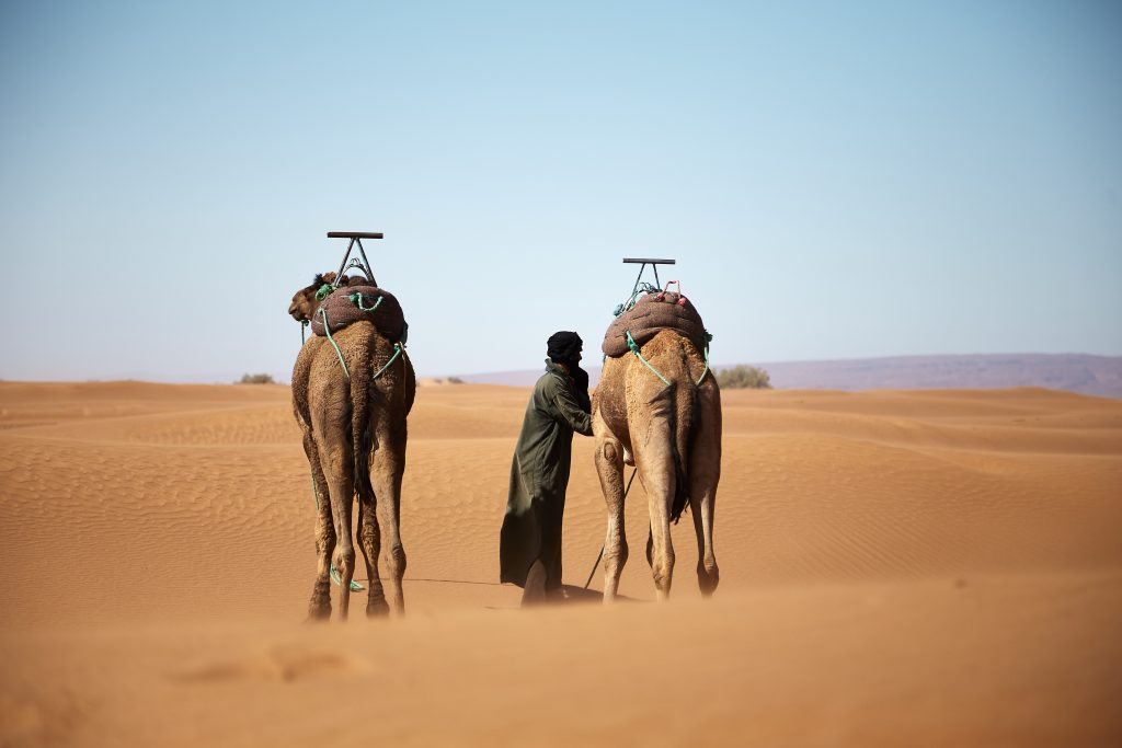 Morning Desert Safari Dubai