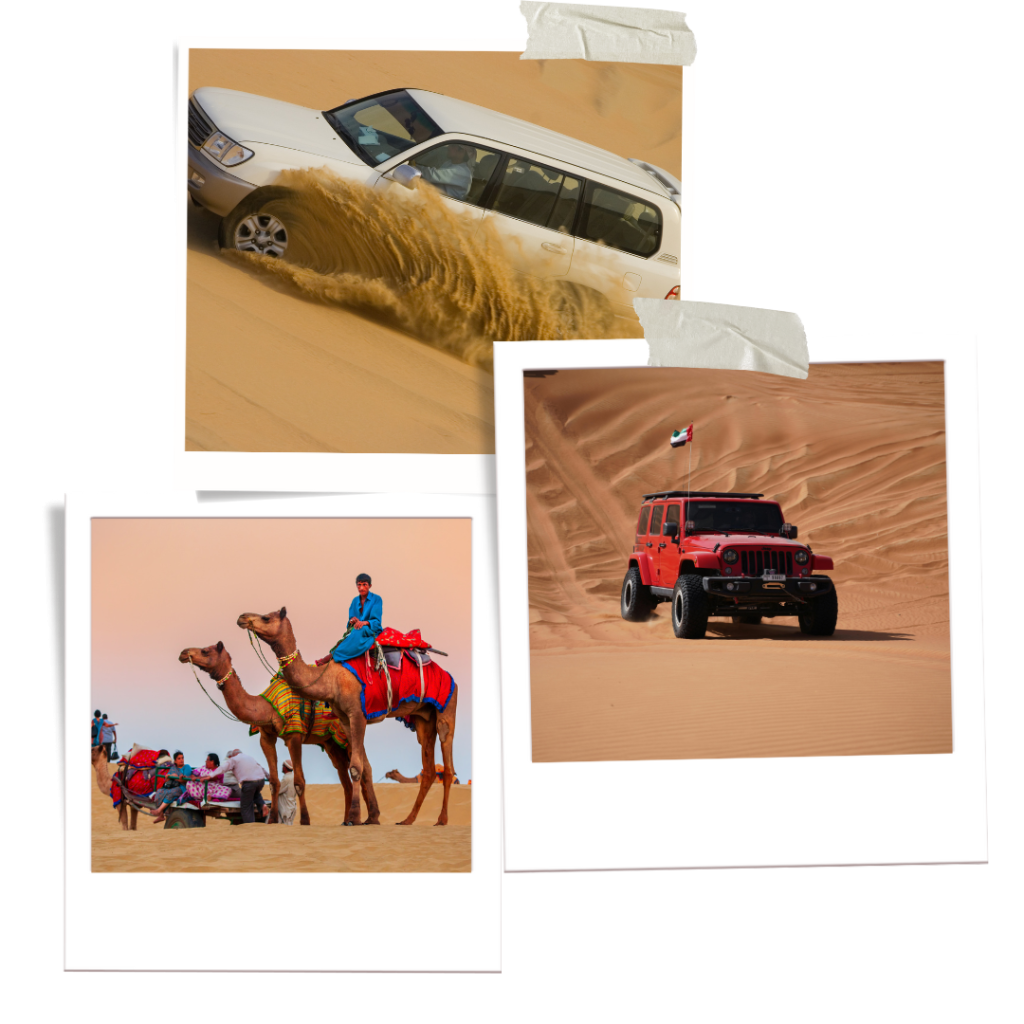 desert safari dubai tours